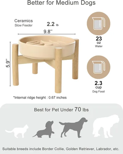 Vista 6 de Comedero lento de cerámica para perros, albaricoque, M