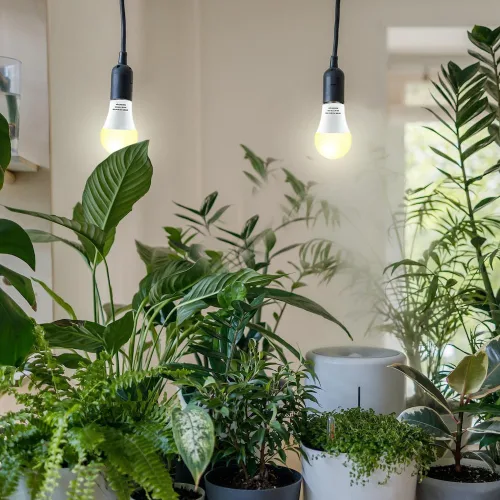 Vista 3 de Paquete de 2 bombillas LED de cultivo A19, bombilla de espectro completo para plantas, bombilla de cultivo E26 de 9 W que reemplaza hasta 80 W, luz