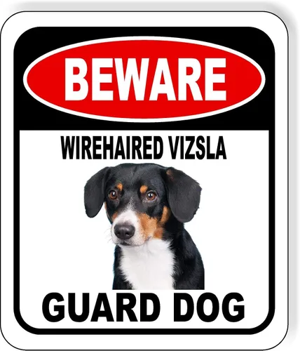 Vista 43 de BEWARE BASSETT HOUND GUARD DOG - Letrero compuesto de aluminio para exteriores, 8.5 x 10 pulgadas CUIDADO BASSETT HOUND GUARD PERRO