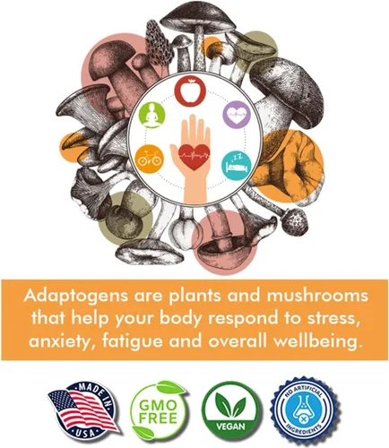 Vista 4 de Complejo de hongos inmunitarios - Reishi, melena de león, chaga, cordyceps, cola de pavo, Shitaake - Apoyo al sistema inmunológico, respuesta