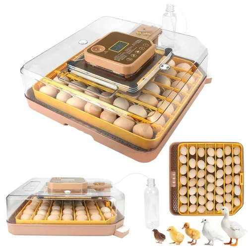 Vista 16 de Gen II - Incubadora automática de 12 huevos, humedad de dos etapas con recarga automática y control de temperatura estable, giro automático