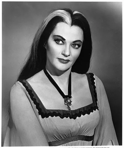 Vista 5 de The Munsters The Complete Series DVD