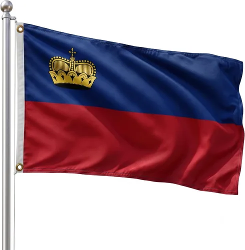Vista 110 de DMSE - Bandera nacional beninesa beninesa de la República de África Occidental, 2 x 3 pies, 100 % poliéster, 100 % poliéster, resistente a los rayos