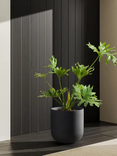 Vista 6 de LE TAUCI Maceta para plantas de 10 pulgadas, macetas de cerámica para plantas con orificio de drenaje y tapón de goma, macetas para plantas