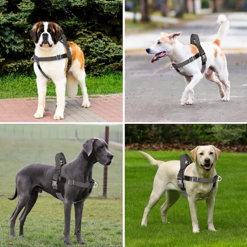 Vista 7 de Annchwool Arnés ajustable para perro, ligero, sin tirones, con asa para perros pequeños, medianos y grandes, clip frontal, arnés de chaleco fácil