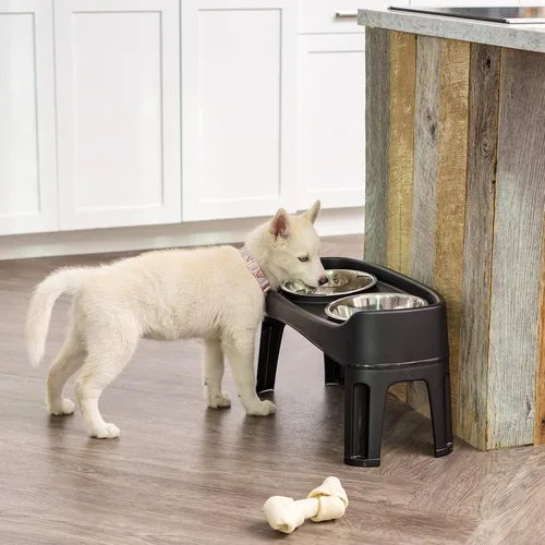 Vista 9 de IRIS USA Cuencos elevados para perros, soporte ajustable, estación de alimentación elevada con 2 cuencos de acero inoxidable de 64 onzas, protector