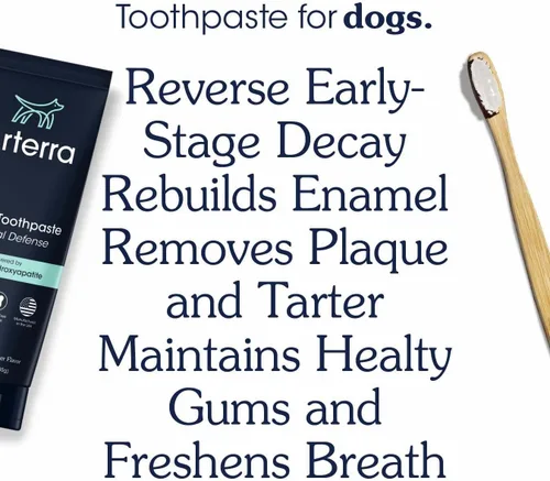 Vista 3 de Pasta de dientes remineralizante para perros, grado veterinario, con nano-hidroxiapatita, revierte la caries en etapa temprana, limpia los dientes