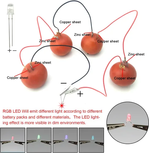 Vista 6 de Kit de experimento de batería de frutas EUDAX para equipo de enseñanza escolar y en casa de bricolaje, kit de proyecto de ciencia de reloj