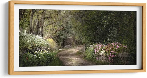Vista 7 de Canvas Lab SECRET GARDEN by Ariadne Contreras 15 x 7 in Fine Art Framed Print, Frame Color: Black, With Mat Botanical, Scenery, Floral