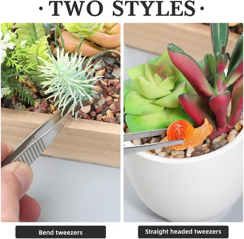 Vista 8 de jojofuny 5pcs Succulent Gardening Tweezers Stainless Steel Plant Transplanting Tools for Seedlings Flower Succulent Care Lightweight Portable Hand