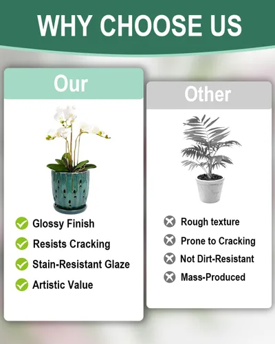 Vista 6 de Maceta de cerámica para orquídeas de 6 pulgadas con agujeros y Carrot