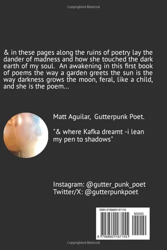 Vista 2 de the way Venus dances dark poems from a quiet garden