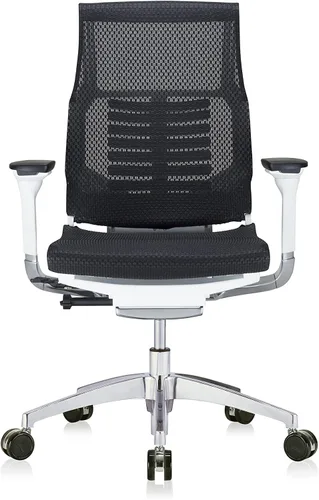 Vista 7 de POwerFIT Exec Silla Negro MESH ASIENTO Y Respaldo-Marco Blanco