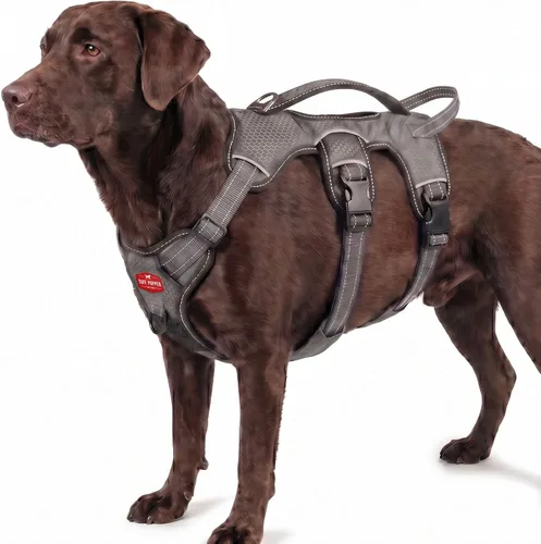 Vista 29 de Tuff Pupper Arnés para perro sin escape a prueba de escape, arnés ajustable de 5 puntos para perros, arneses acolchados para perros, arneses