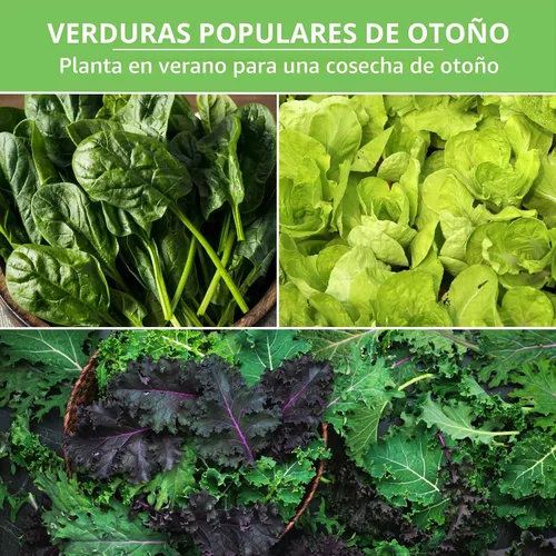 Vista 4 de Fall Vegetable Seeds Collection - 8 Variety Pack for Planting