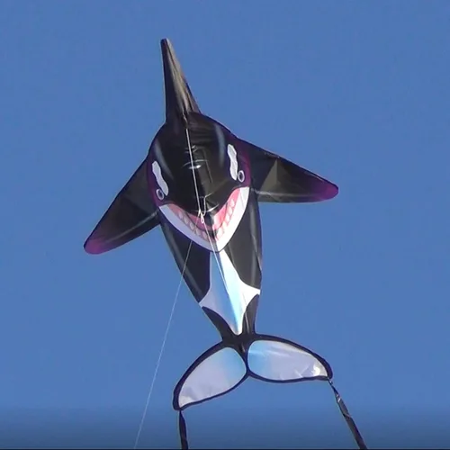 Vista 6 de WindNSun Sealife - Cometa de poliéster Ripstop Orca, 57 pulgadas de alto