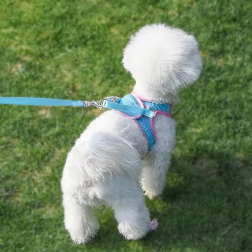 Vista 6 de Arnés para cachorros negro con correa, arnés para gatos sin tirones para caminatas fáciles, chaleco reflectante de malla transpirable para mascotas