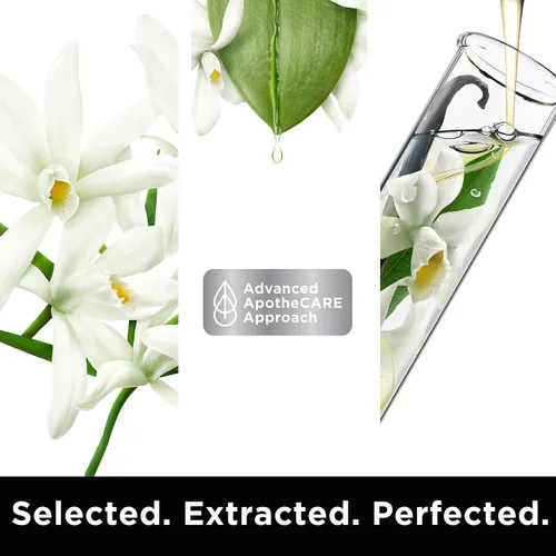 Vista 5 de ApotheCARE Essentials The Replenisher Champú Hidratante, Vainilla, Aceite de Argán, Almendra Dulce, 12 oz