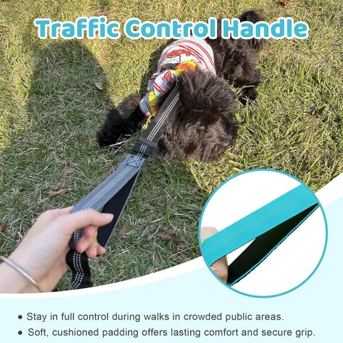 Vista 5 de Correa doble para perro, divisor sin enredos para dos perros, acoplador con cuerda de plomo larga ajustable, asas de control dual, elástico