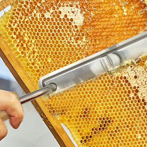 Vista 2 de Cuchillo de destapado de miel de abeja eléctrica Acero inoxidable Temperatura constante Cuchillo de abeja Raspador Extractor de miel Herramientas