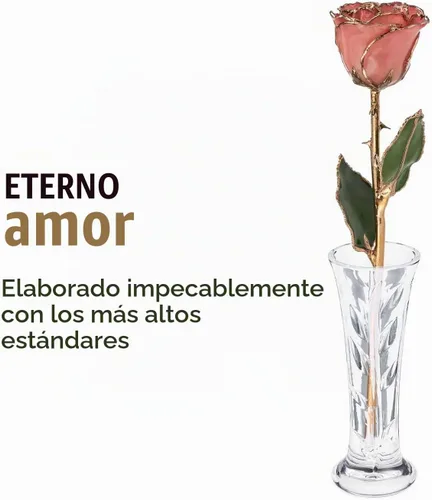 Vista 5 de Forever Rose - Jarrón transparente de cristal decorativo duradero