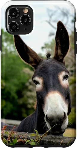 Vista 13 de Funda Donkey para iPhone 17