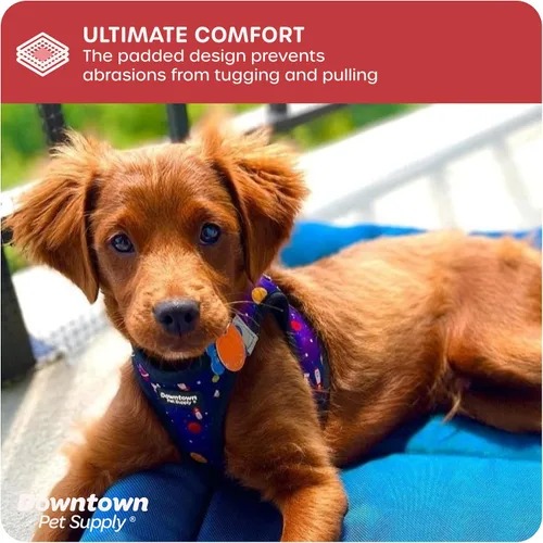 Vista 6 de Downtown Pet Supply Arnés para perro Step-in – Sin tirones, malla acolchada ajustable con ribete reflectante, correa de hebilla segura – Arnés