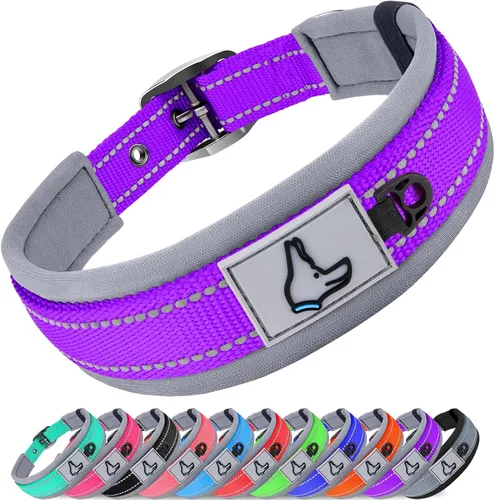 Vista 17 de Joytale Collar para perros pequeños, de neopreno acolchado y ajustable, collares para mascotas reflectantes, anchos y resistentes, con hebilla