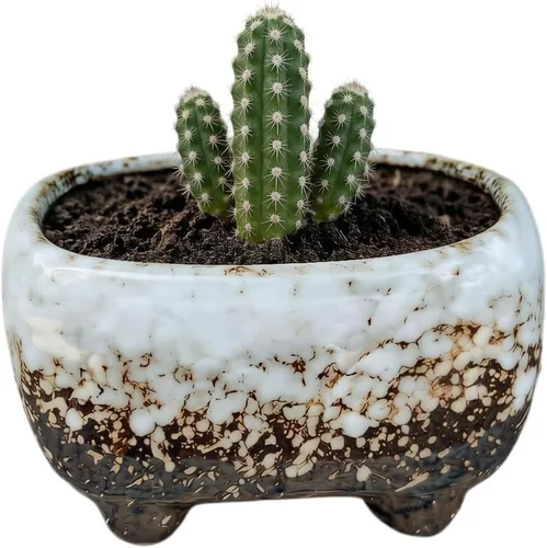 Vista 8 de Lindo recipiente rectangular de cerámica de 4.7 pulgadas para decoración del jardín del hogar, suculentas, cactus, macetas, no incluidas (verde)