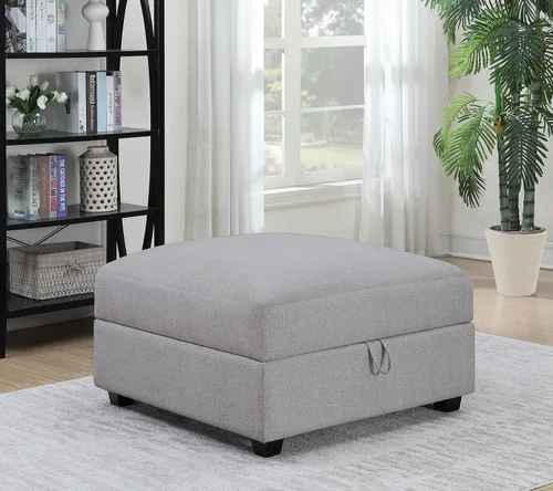 Vista 2 de Scott Living Coaster Charlotte - Otomana de almacenamiento, color gris