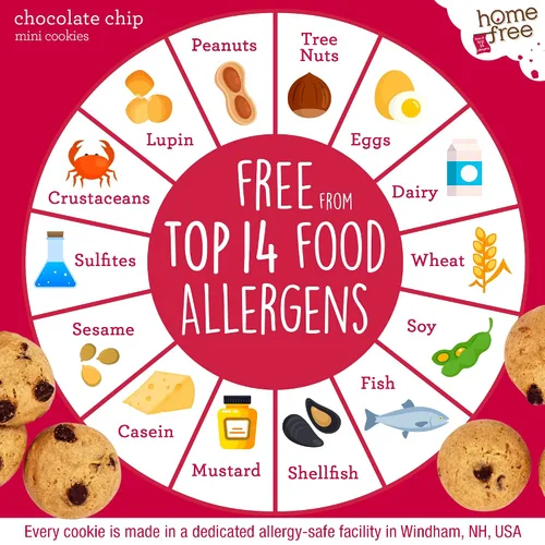 Vista 4 de HomeFree “Treats You Can Trust” Minigalletas libres de gluten