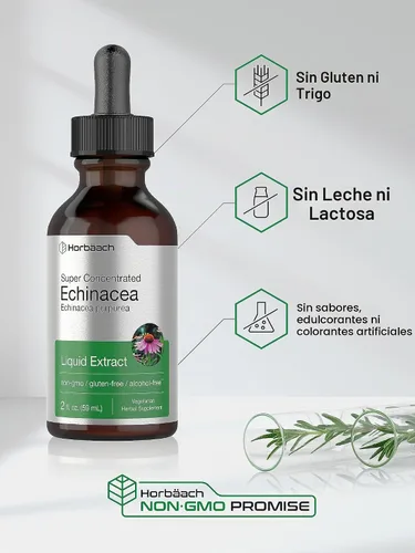 Vista 5 de Horbaach Echinacea Drops Herb Tintura 2 fl oz Extracto de raíz súper concentrado Líquido sin alcohol Suplemento vegetariano, sin OMG y sin