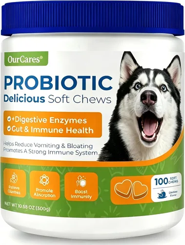 Vista 9 de Probióticos para perros, masticables digestivos, calabaza