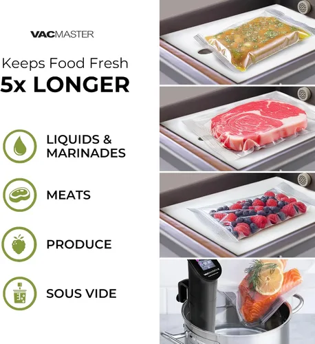 Vista 4 de Sellador al vacío con cámara VacMaster VP215