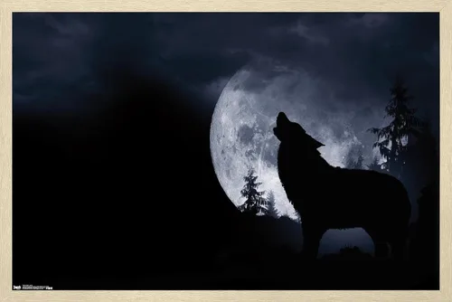 Vista 7 de Trends International Póster de pared de lobo - aullido, 14.725 x 22.375 pulgadas, versión enmarcada de madera de granero