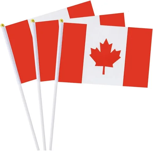 Vista 13 de Bandera de Bélgica, pequeña bandera de Bélgica en palo, ideal para fiestas, desfiles, eventos deportivos, decoraciones de festivales patrióticos