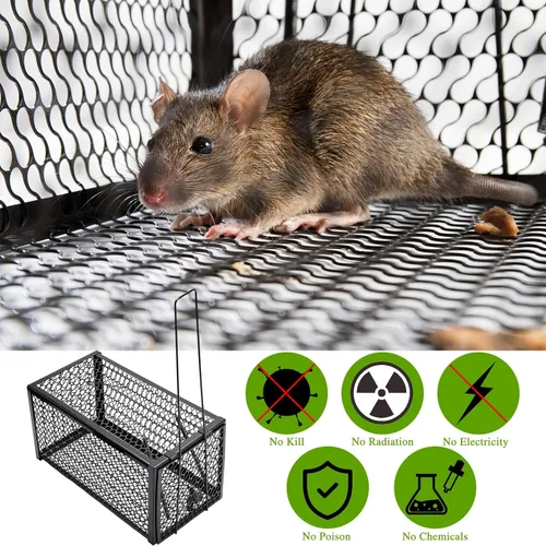 Vista 6 de Qualirey Trampa humana para ratas, ardilla, roedor, ratón, ardilla, trampa para ardillas, 11 x 6 x 6 pulgadas, para animales vivos, ratones