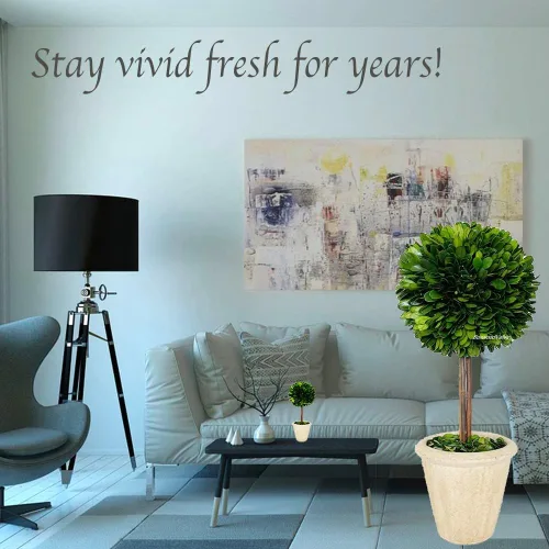 Vista 2 de Topiario de boj preservado natural en maceta de 9 pulgadas, impresionante vegetación y decoración de plantas, ideal para el hogar, oficina, bar