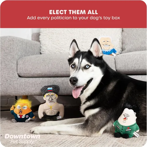 Vista 7 de Downtown Pet Supply Sleepy Joe - Juguete político para perros, parodia política novedosa, juguete masticable para perros con chirriador, diseño