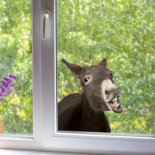 Vista 20 de Calcomanías de pared con estampado de vaca, calcomanías de automóvil, regalos para amantes de las vacas para niñas, niños, dormitorio, cuarto
