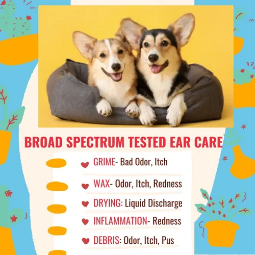 Vista 4 de PetGlow Limpiador de oídos para perros infección por levadura con cúrcuma. La terapia natural del oído elimina las infecciones dolorosas del oído
