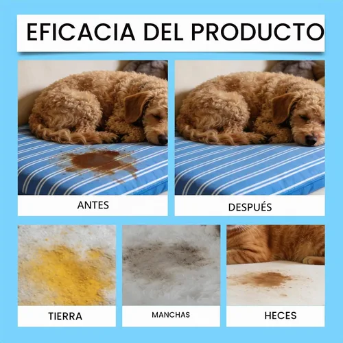 Vista 5 de Eliminador de manchas de mascotas y olores fuertes, destructor de orina