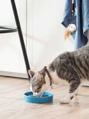 Vista 2 de Cuencos de cerámica para alimentación lenta para perros de raza pequeña, 0.5 tazas de plato de comida para perros que comen rápido, cuenco