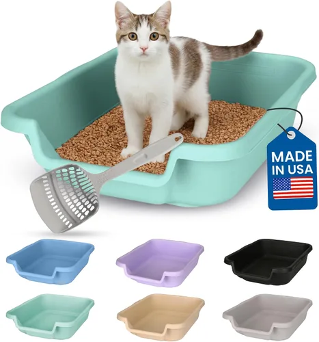 Vista 19 de KittyGoHere - Caja de arena para gatos mayores, sartén pequeña con cuchara jumbo de mango largo, caja de arena para gatos de entrada baja, ligera