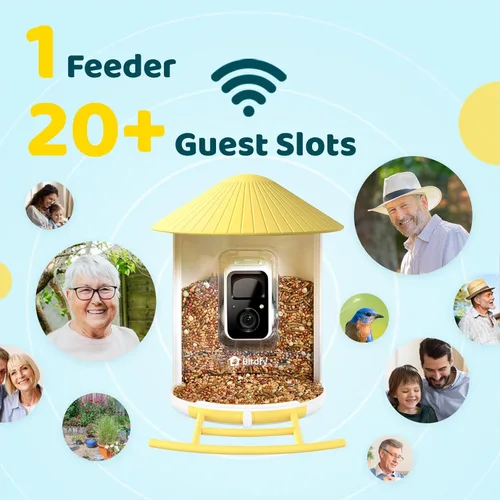 Vista 4 de NETVUE by Birdfy - Alimentador inteligente para pájaros con cámara AI 2K alimentado por energía solar, observación inalámbrica de aves silvestres