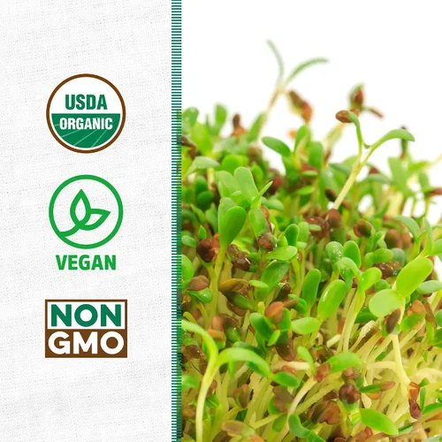Vista 2 de Back to The Roots Semillas de alfalfa 100% orgánicas 1 libra sin transgénicos Densas en nutrientes, fáciles de cultivar, ricas en fibra