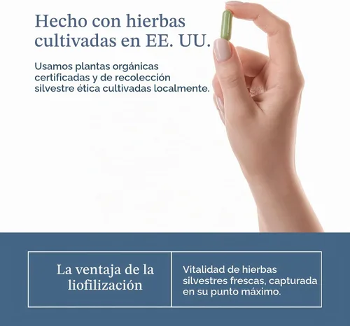 Vista 7 de Hierba ecléctica, cápsulas de hierba de San Juan, soporte del sistema nervioso, 120 CT Azul