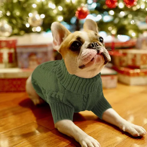 Vista 67 de Queenmore - Suéter de punto trenzado con cuello alto para perros pequeños, para climas fríos, para chihuahua, bulldog, teckel, carlino y yorkie, XS