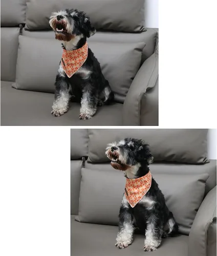 Vista 2 de Bandanas de otoño para perros de fútbol americano, de algodón, lavables, cómodas, triangulares, ajustable, para perros pequeños, medianos y grandes