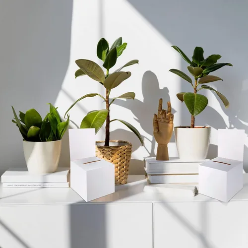 Vista 7 de Juego de 12 cajas para rifas, urnas y buzones de sugerencias con ranura, cajas de cartón para rifas de 15 x 15 x 15 cm con ranura para boletos